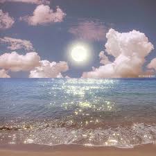 Ảnh đại diện người dùng Hoàng Vũ